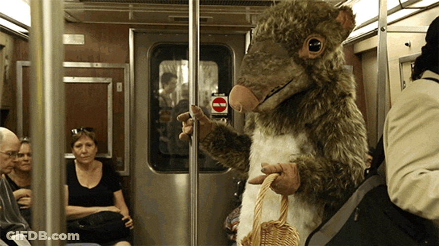 Rat Showering Subway Train GIF