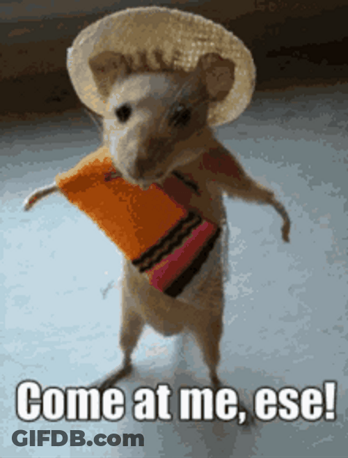 Rat Wear Cute Costume GIF