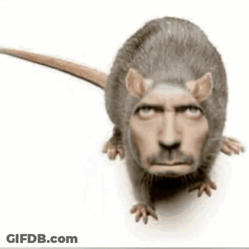 Rat With Man's Face GIF