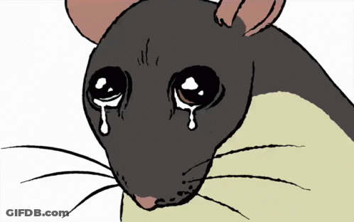 Rat With Tears GIF