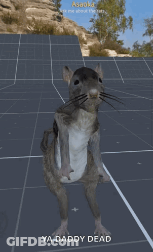 Rat With Ya Daddy Dead Text GIF