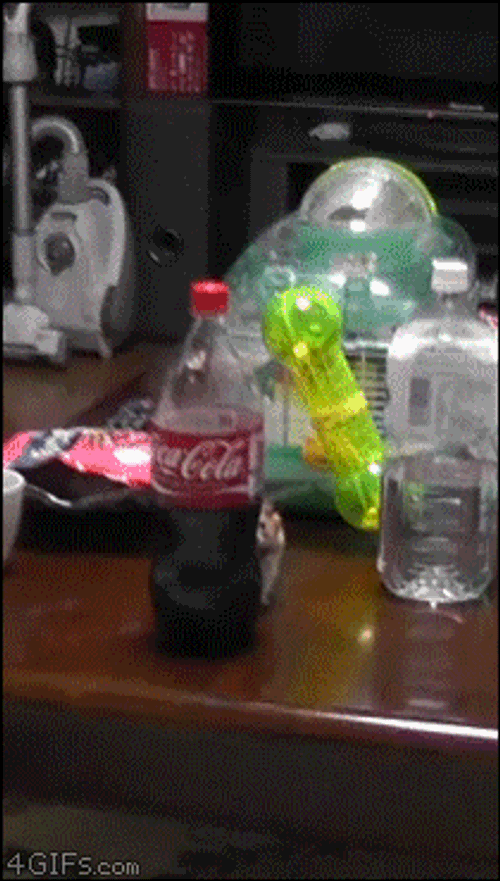 Rata Escondido GIF