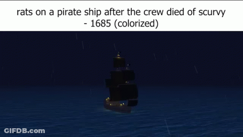 Rats On A Pirate Ship After The Crew Died Of Scurvy 1685 Colorized GIF