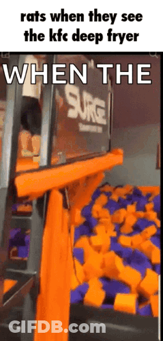 Rats React To KFC Deep Fryer GIF