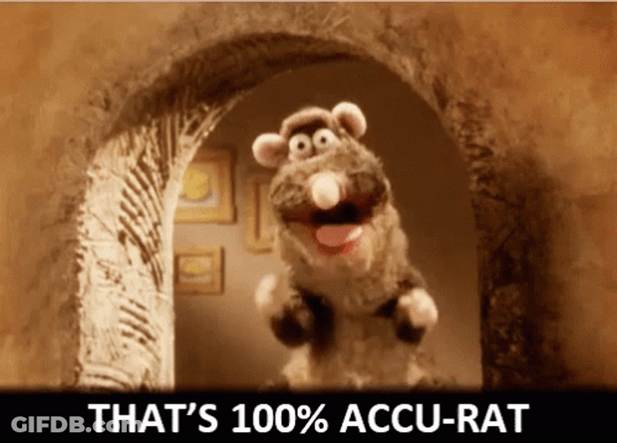 Rattus That's 100 Percent Accu-Rat GIF