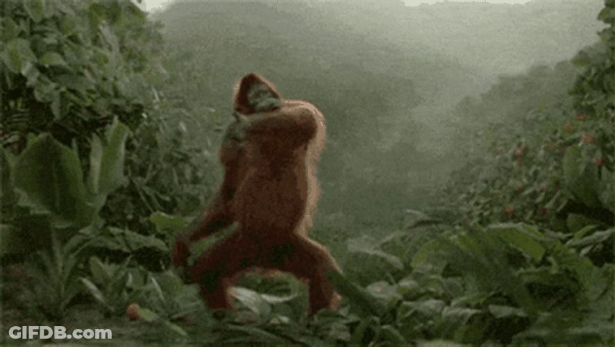 Rave On Gorilla Dancing GIF