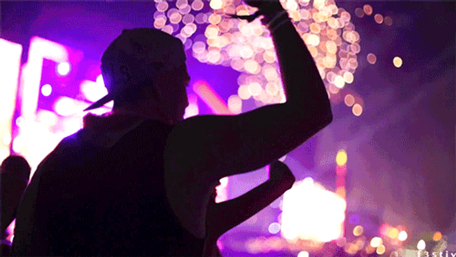 Rave Party Fireworks Silhouette GIF