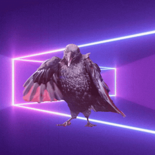 Raven Purple Retro Loop GIF