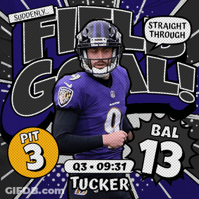 Ravens Football Player Number 17 GIF