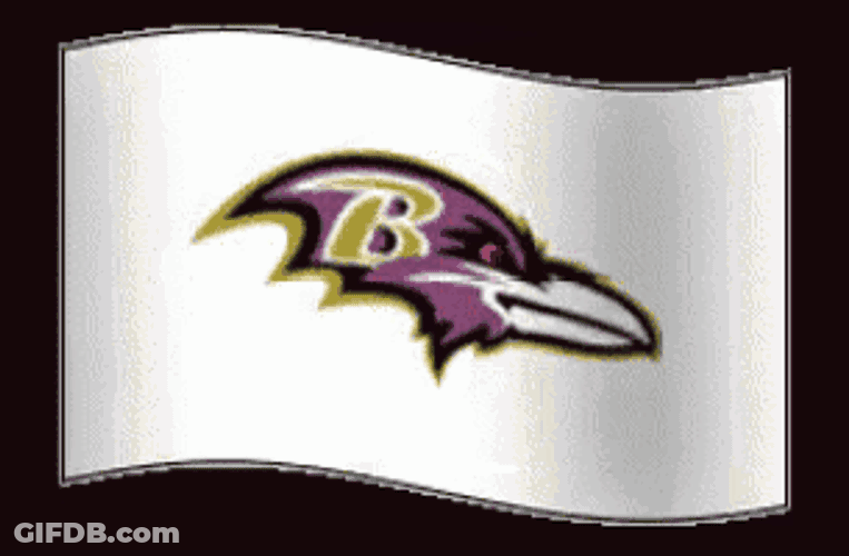 Ravens GIF