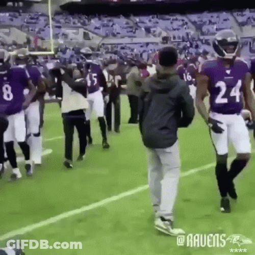 Ravens Number 3 GIF
