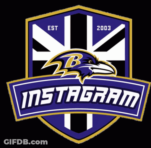 Ravens On Instagram GIF