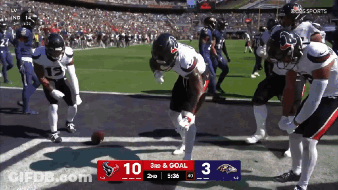 Ravens Vs Houston Texans Football Game GIF
