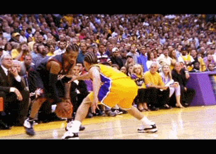 Ray Allen Goal GIF