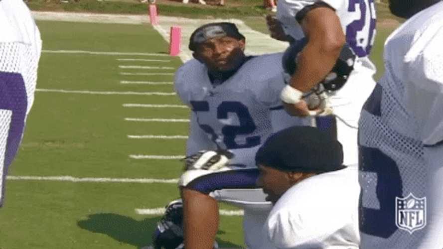 Ray Lewis Falling Down GIF