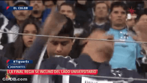 Rayado Llorando Rayados GIF
