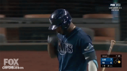 Rays Baseball Player GIF