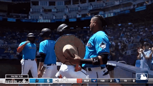Rays Vs Padres Baseball Game Underway GIF
