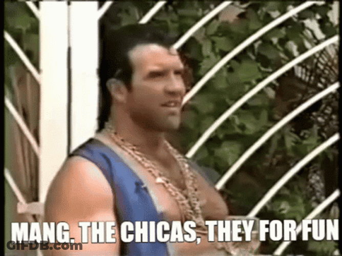 Razor Ramon The Chicas They For Fun GIF
