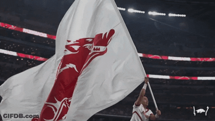 Razorbacks Banner Waved By Player GIF