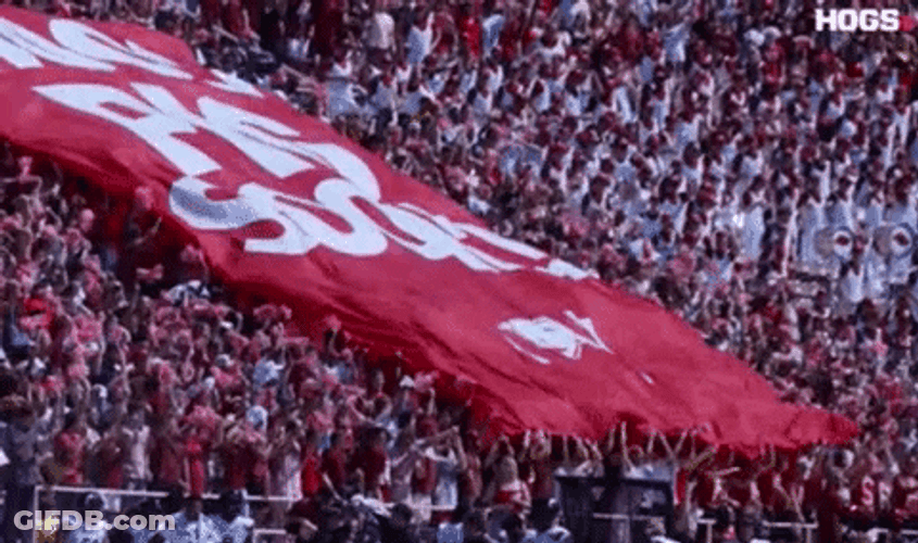 Razorbacks Fan Waving Red Flag To Cheer GIF