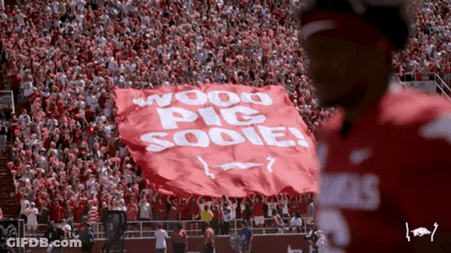 Razorbacks Fans Waving Flag To Cheer GIF