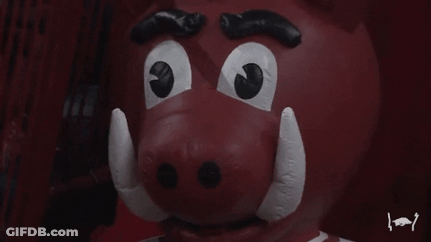 Razorbacks Mascot Clay Version GIF