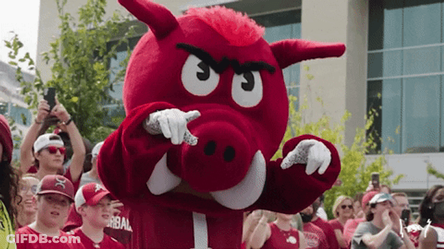 Razorbacks Mascot Posing GIF