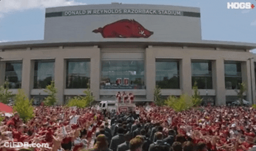 Razorbacks Players Walking Towards Their Stadium GIF