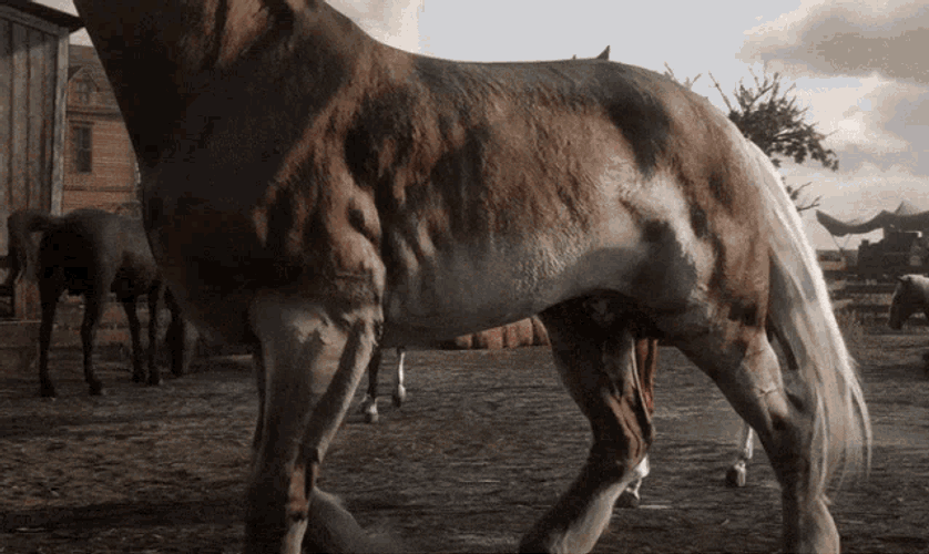 Rdr2 Red Dead Redemption2 GIF