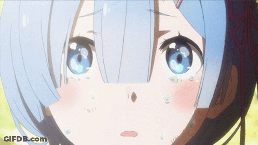 Re Zero Rem Crying GIF
