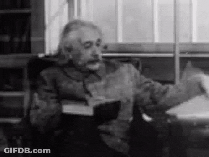 Reading Book Albert Einstein GIF
