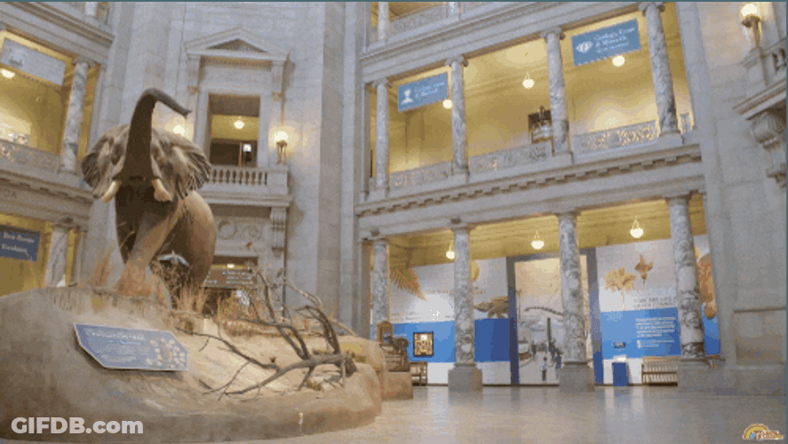 Reading Rainbow LeVar Burton At National Museum GIF
