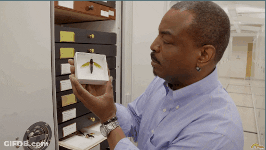 Reading Rainbow LeVar Burton Showing Insect GIF