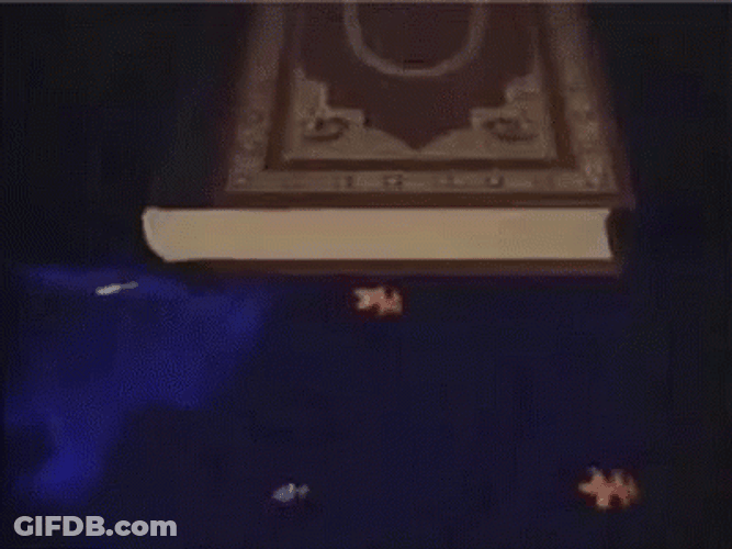 Reading Rainbow Take A Look It's In Book GIF