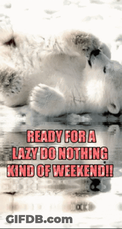 Ready For A Lazy Saturday Do Nothing GIF