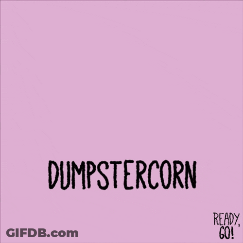 Ready Hot Go Garbage Dumpster Unicorn GIF