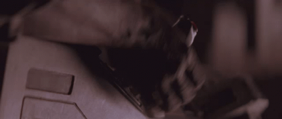 Ready Set Kill It With Fire GIF