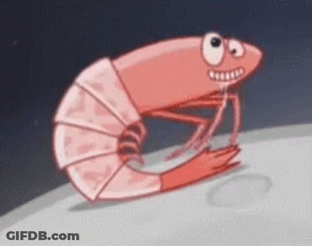 Ready To Go Shrimp GIF