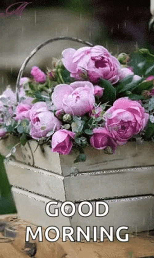 Real Floral Bouquet Basket Rain Morning GIF
