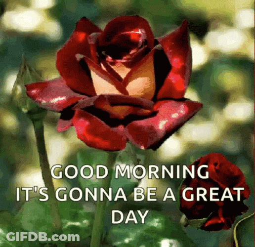 Real Floral Good Morning Sparkles GIF