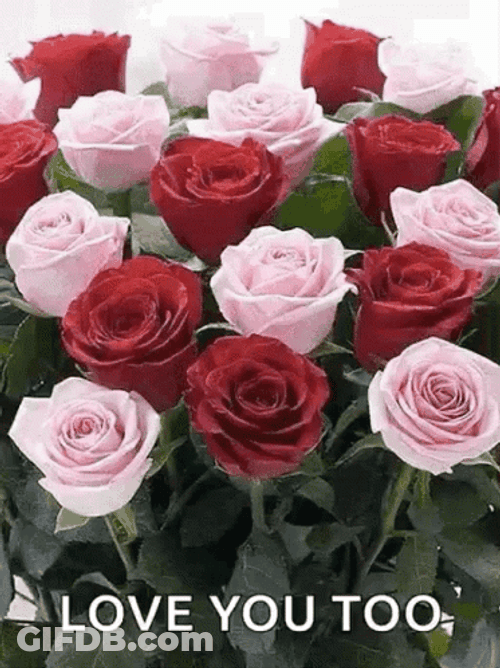 Real Floral Love Roses GIF