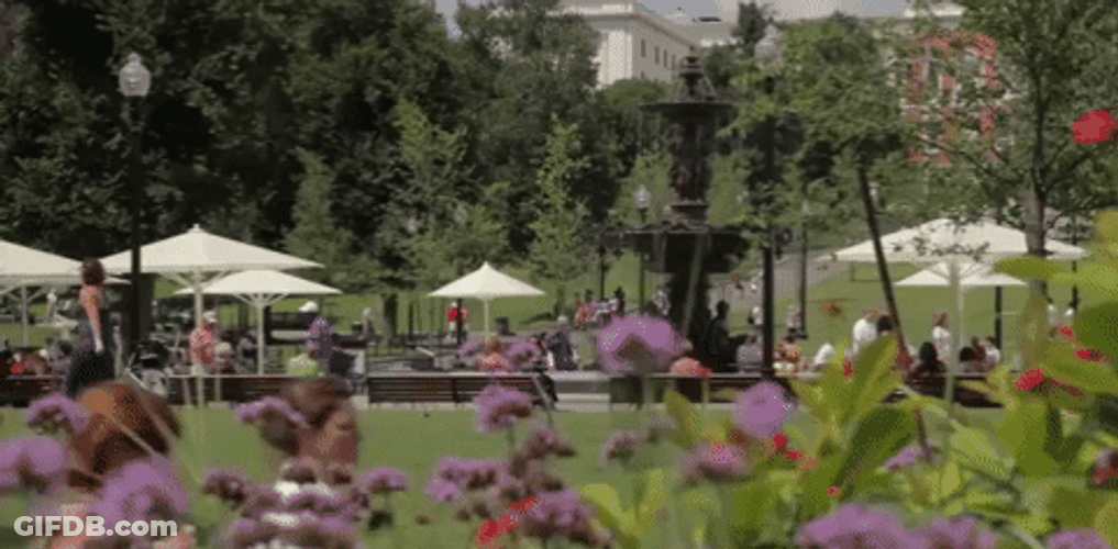Real Floral Massachusetts Park GIF
