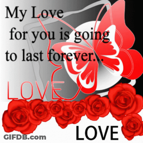 Real Floral Red Love Butterfly GIF