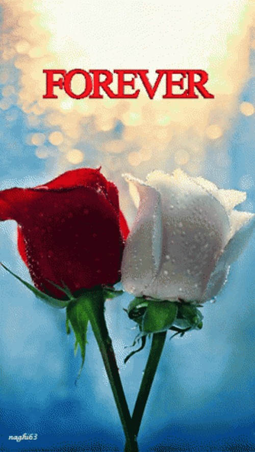 Real Floral Romantic Forever GIF