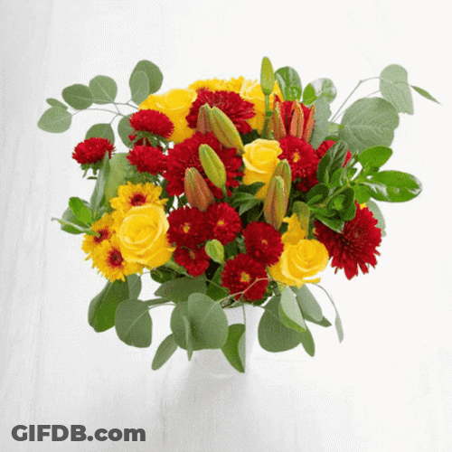 Real Floral Vase Fresh Flowers Bloom GIF