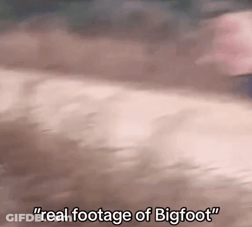 Real Footage Of Bigfoot GIF