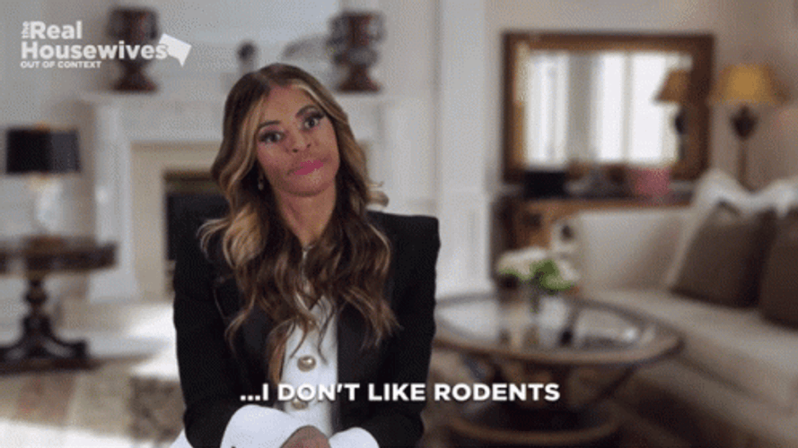 Real Housewives Entertaining Mary Cosby Rodents GIF