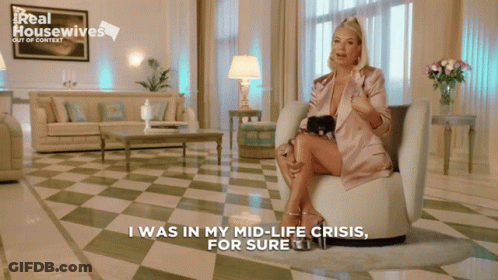 Real Housewives Housewives GIF
