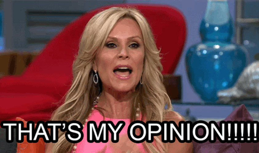 Real Housewives That's My Opinion GIF